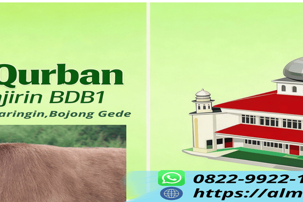 Pendaftaran Qurban